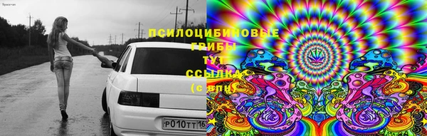 прущая мука Баксан